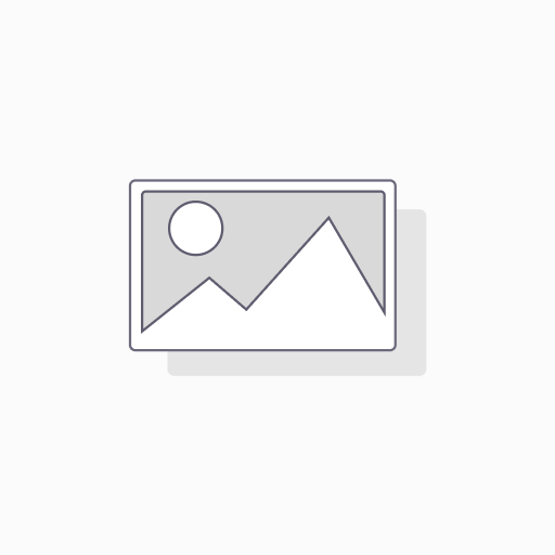Convertible Preferred Share Subscription